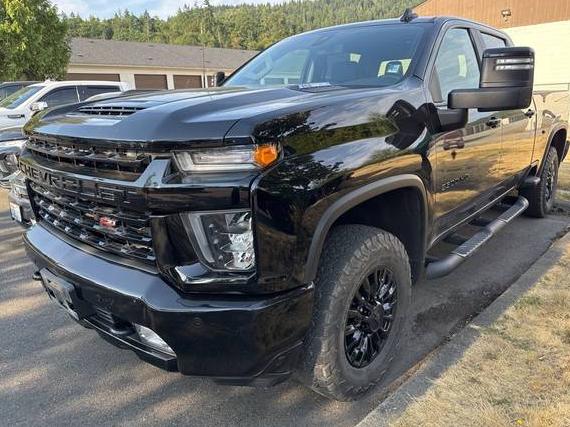 CHEVROLET SILVERADO 2021 1GC4YUEY3MF166743 image