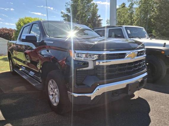 CHEVROLET SILVERADO 2024 1GCUDDED4RZ218704 image