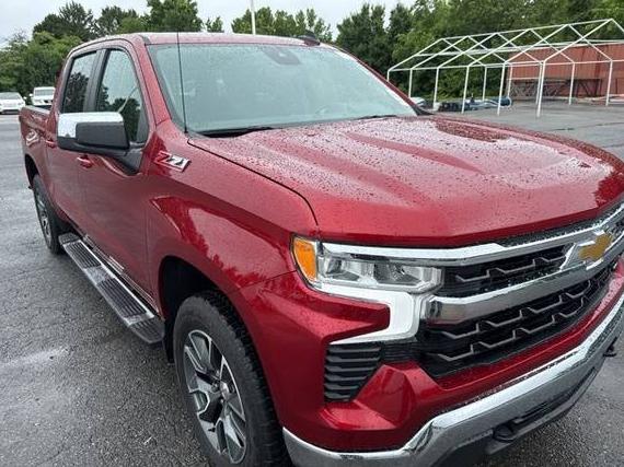 CHEVROLET SILVERADO 2024 3GCUDDED5RG263828 image