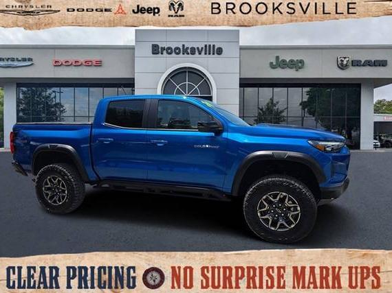 CHEVROLET SILVERADO 2024 1GCPTFEK4R1144984 image