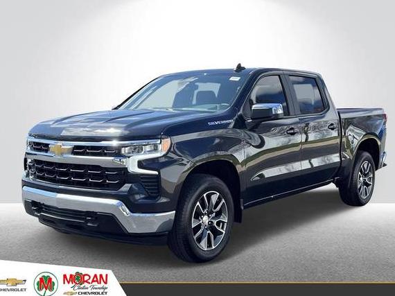 CHEVROLET SILVERADO 2024 1GCPDKEK1RZ237503 image
