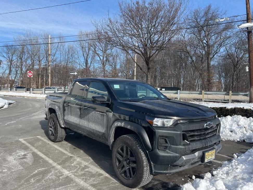 CHEVROLET SILVERADO 2024 1GCPTEEK8R1248372 image