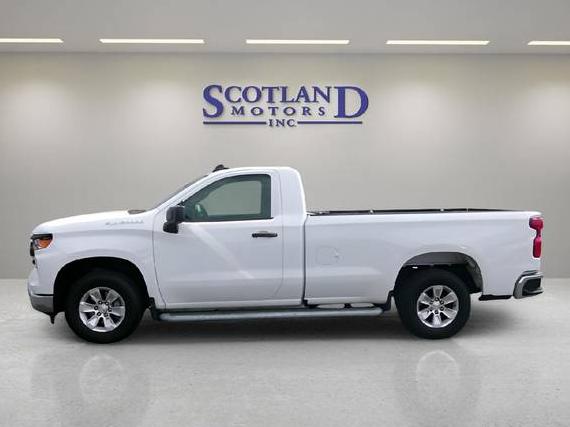 CHEVROLET SILVERADO 2024 3GCNAAEDXRG274710 image