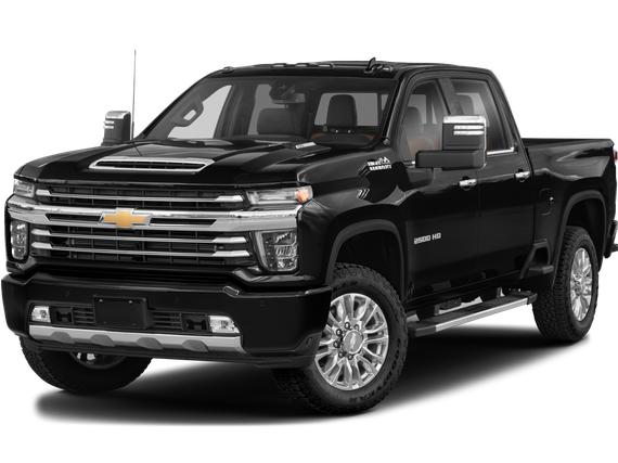 CHEVROLET SILVERADO 2020 1GC4YREY6LF163413 image