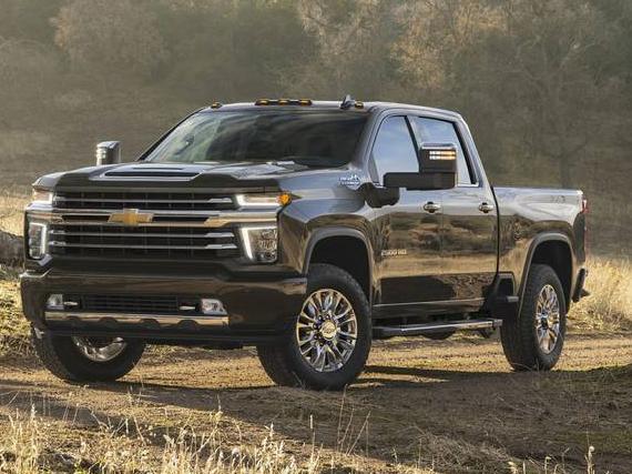 CHEVROLET SILVERADO 2020 1GC4YREY5LF156680 image