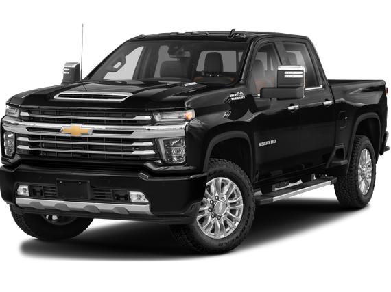 CHEVROLET SILVERADO 2020 1GC4YREY6LF315237 image