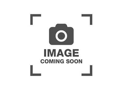 CHEVROLET SILVERADO 2003 1GCGC13U73F246488 image