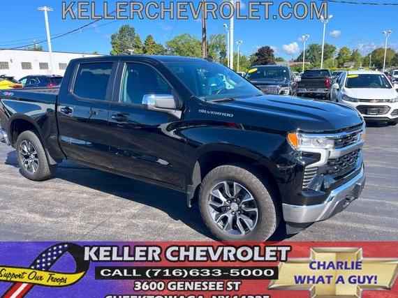 CHEVROLET SILVERADO 2022 1GCPDKEK0NZ594469 image CHEVROLET SILVERADO 2022 1GCPDKEK0NZ594469 image