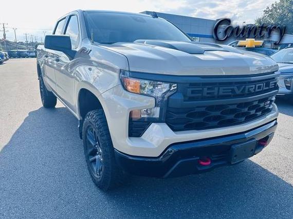 CHEVROLET SILVERADO 2022 3GCPDCED9NG689751 image
