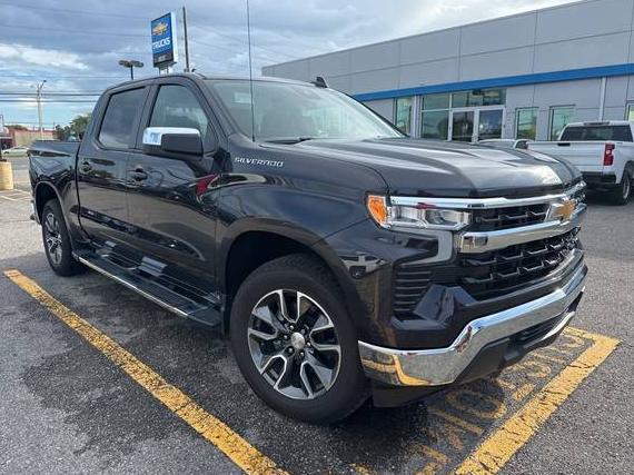 CHEVROLET SILVERADO 2022 1GCPACED2NZ603060 image