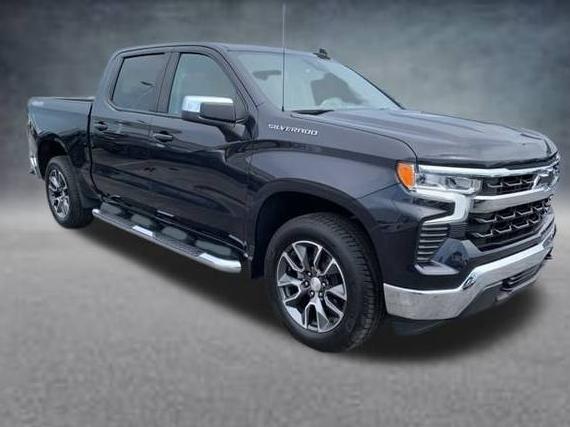 CHEVROLET SILVERADO 2022 1GCUDDEDXNZ546980 image