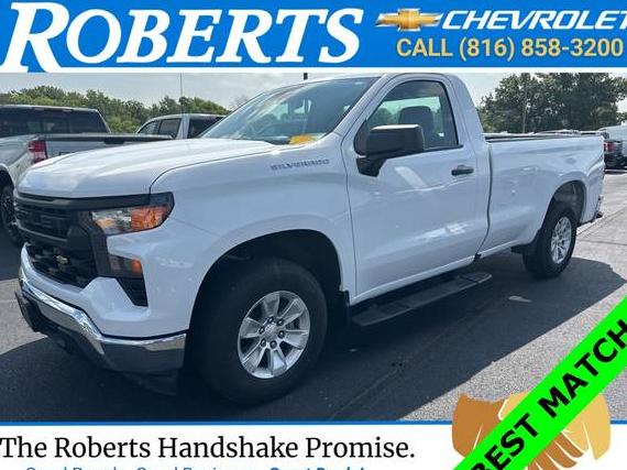 CHEVROLET SILVERADO 2022 3GCNAAED0NG570572 image