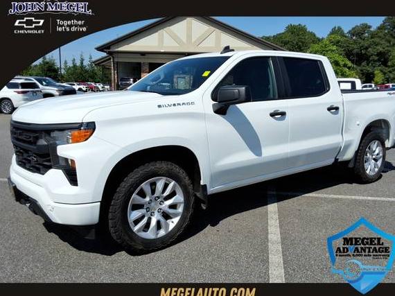 CHEVROLET SILVERADO 2022 3GCPDBEK4NG521833 image