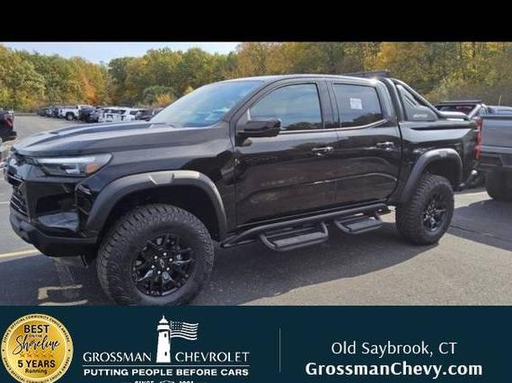 CHEVROLET SILVERADO 2025 1GCPTFEK5S1100112 image CHEVROLET SILVERADO 2025 1GCPTFEK5S1100112 image