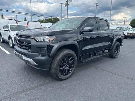 CHEVROLET SILVERADO 2025 1GCPTEEK0S1177402 image
