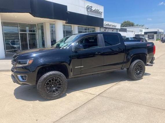 CHEVROLET COLORADO 2016 1GCGTDE39G1234058 image