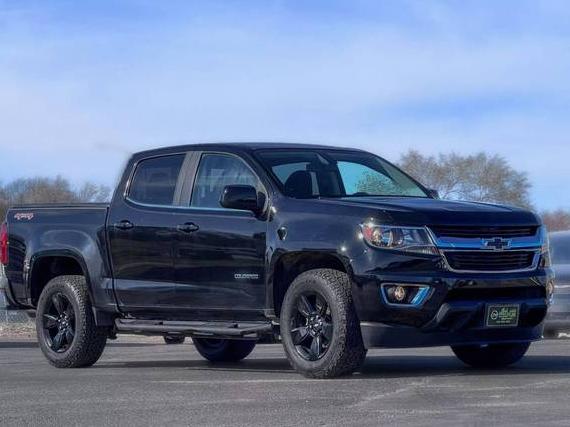 CHEVROLET COLORADO 2016 1GCGTCE37G1304781 image