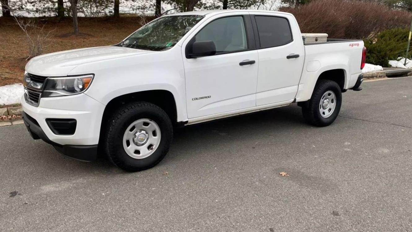 CHEVROLET COLORADO 2016 1GCGTBE32G1261235 image