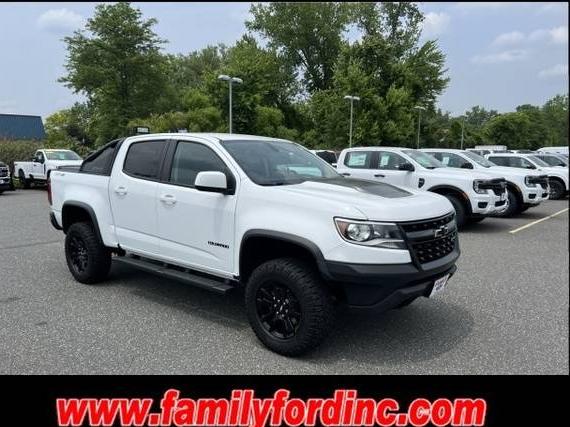 CHEVROLET COLORADO 2019 1GCGTEEN0K1231081 image