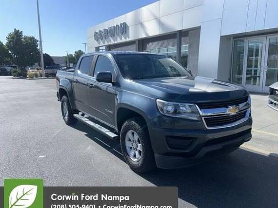 CHEVROLET COLORADO 2019 1GCGSBEA4K1116238 image