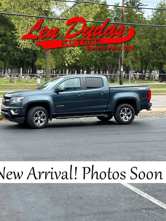 CHEVROLET COLORADO 2019 1GCGTDEN2K1313419 image