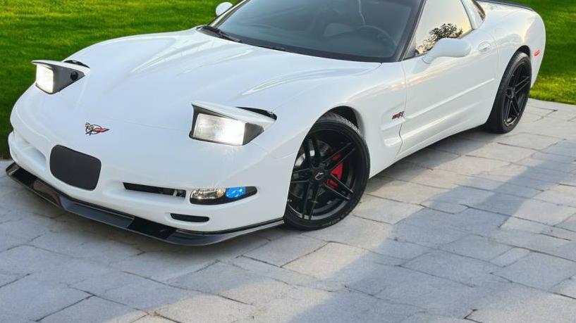 CHEVROLET CORVETTE 1998 1G1YY22G9W5100619 image