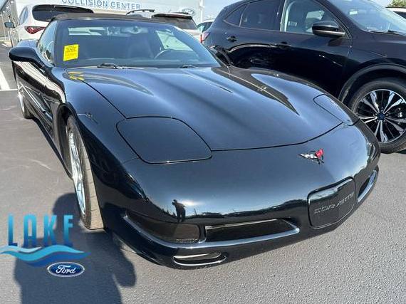 CHEVROLET CORVETTE 2004 1G1YY32G345120769 image