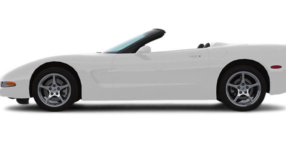 CHEVROLET CORVETTE 2004 1G1YY32G645103299 image