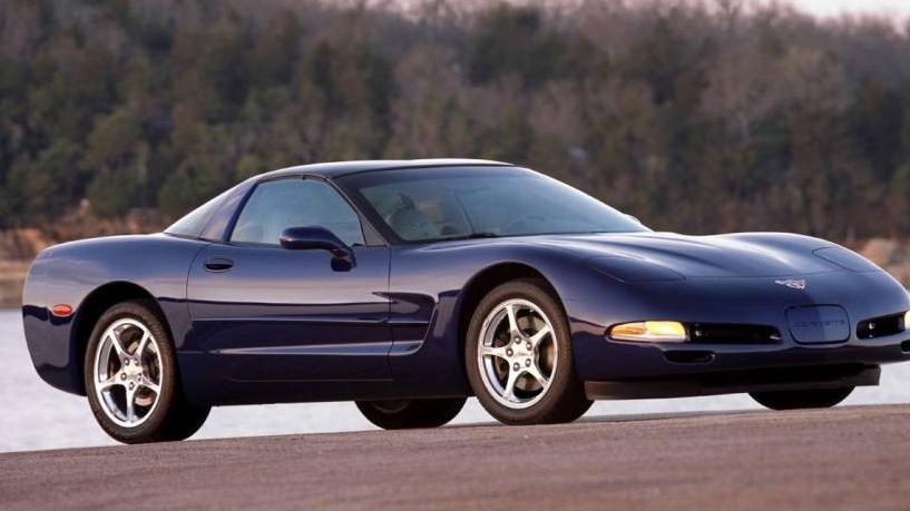 CHEVROLET CORVETTE 2004 1G1YY22G145106458 image