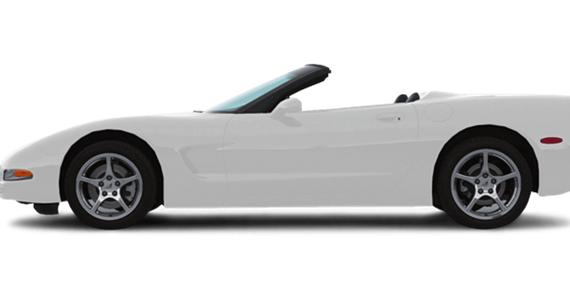 CHEVROLET CORVETTE 2004 1G1YY32G745105031 image