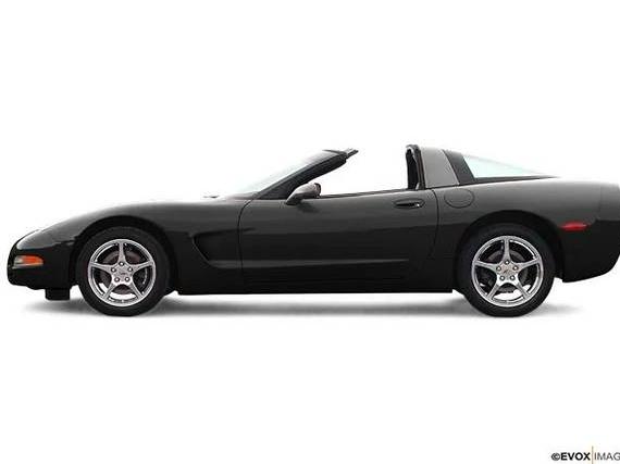 CHEVROLET CORVETTE 2004 1G1YY32G945100638 image