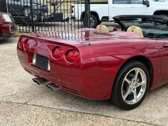 CHEVROLET CORVETTE 2004 1G1YY32G545128453 image