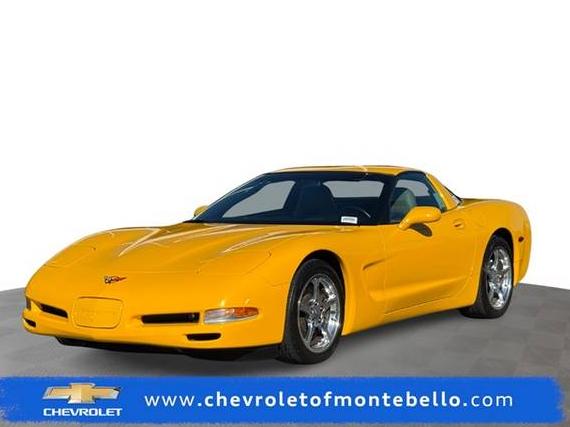 CHEVROLET CORVETTE 2004 1G1YY22G745121255 image
