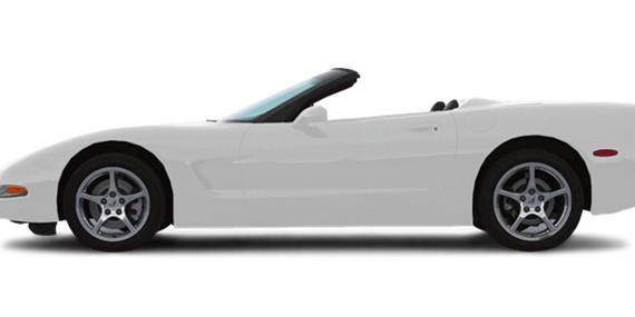 CHEVROLET CORVETTE 2004 1G1YY32G845119603 image