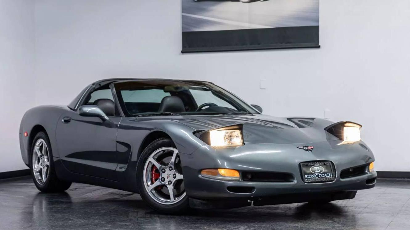 CHEVROLET CORVETTE 2004 1G1YY22G645123269 image