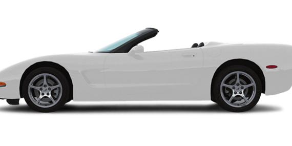 CHEVROLET CORVETTE 2004 1G1YY32G945120307 image