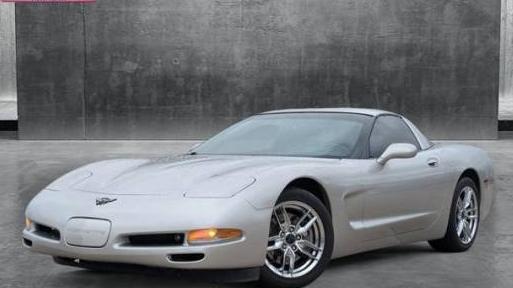 CHEVROLET CORVETTE 2004 1G1YY22G645108996 image