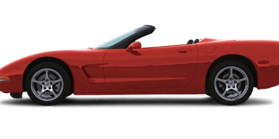 CHEVROLET CORVETTE 2004 1G1YY32G745111332 image