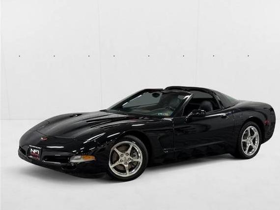 CHEVROLET CORVETTE 2004 1G1YY32G045109115 image