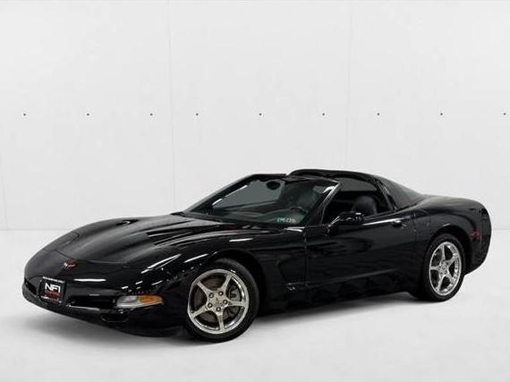 CHEVROLET CORVETTE 2004 1G1YY32G445110543 image