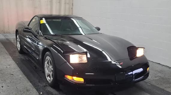 CHEVROLET CORVETTE 2004 1G1YY22G345131667 image