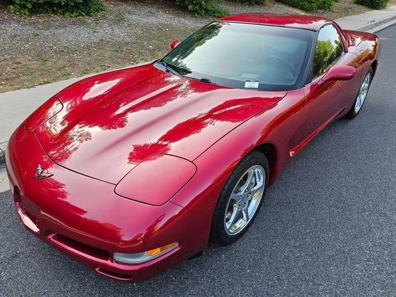 CHEVROLET CORVETTE 2004 1G1YY22G545125546 image
