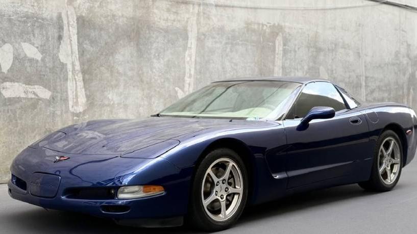 CHEVROLET CORVETTE 2004 1G1YY22G745116119 image