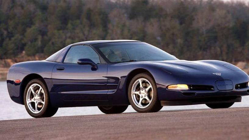 CHEVROLET CORVETTE 2004 1G1YY22G745116301 image