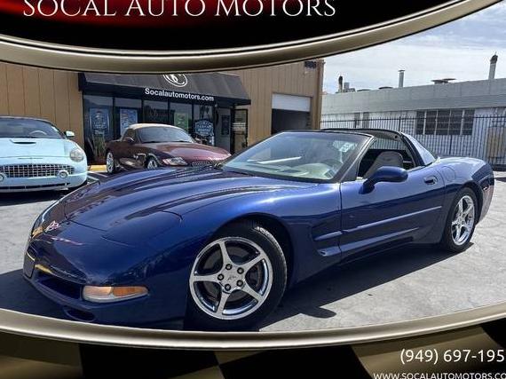 CHEVROLET CORVETTE 2004 1G1YY22G645132036 image