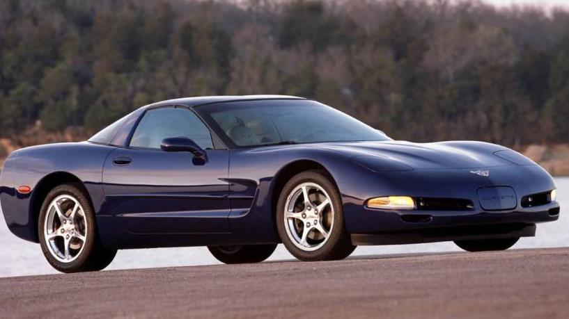 CHEVROLET CORVETTE 2004 1G1YY22G545104664 image