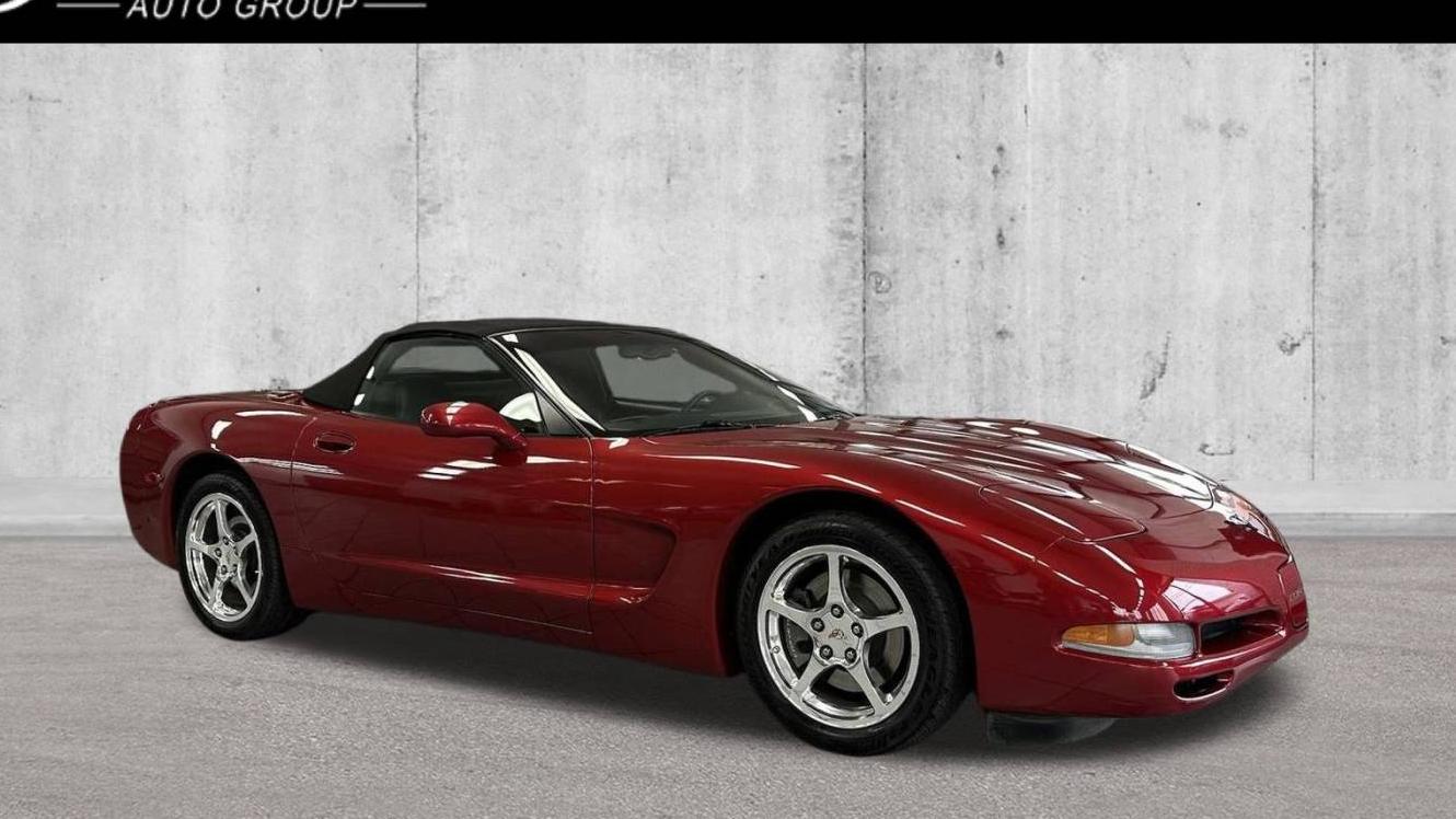 CHEVROLET CORVETTE 2004 1G1YY32G945130884 image