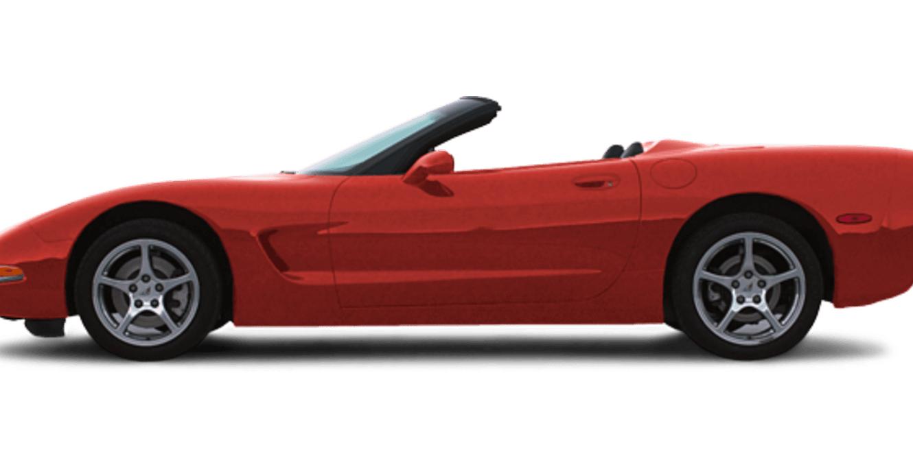 CHEVROLET CORVETTE 2004 1G1YY32G245111108 image