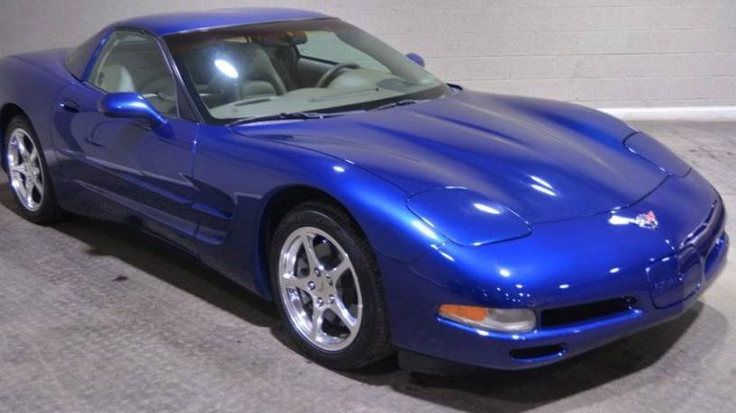 CHEVROLET CORVETTE 2004 1G1YY22G745113155 image