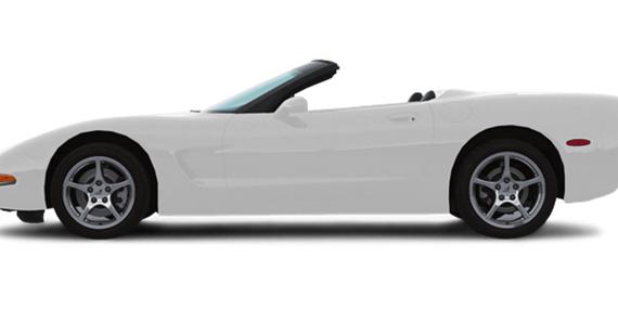 CHEVROLET CORVETTE 2004 1G1YY32GX45121157 image